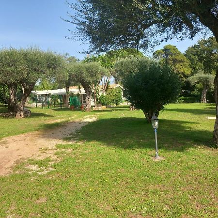 Katia Cottage Κασσιόπη Εξωτερικό φωτογραφία