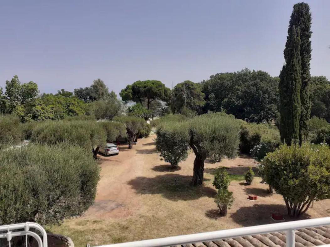 Katia Cottage Κασσιόπη Εξωτερικό φωτογραφία